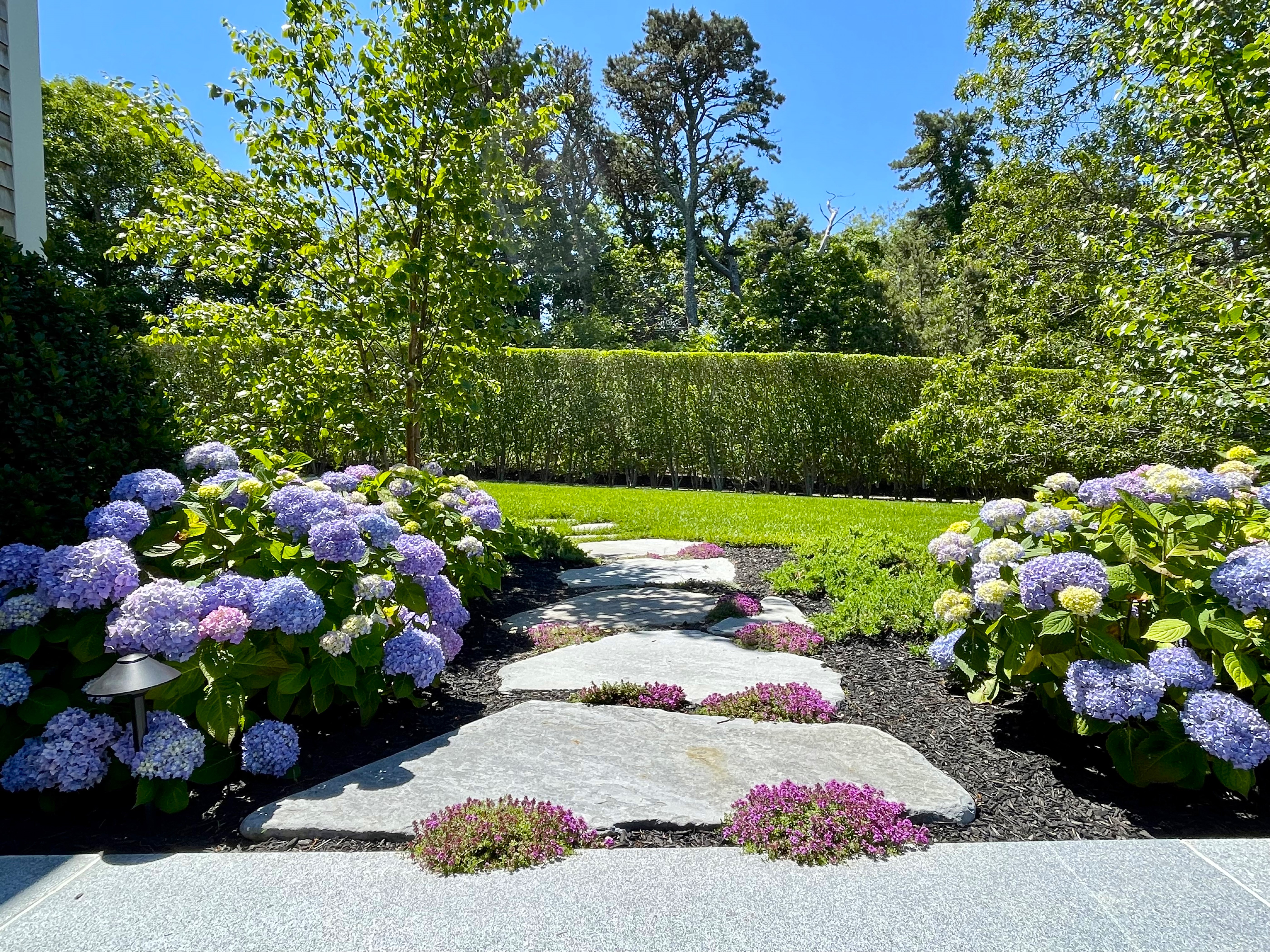stepping stone path with flowers on either side